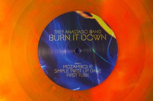 Burn It Down (14)